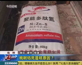 數百畝桃樹干枯死亡啥原因 這樣的肥料別買了