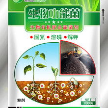 仙慶精品有機肥 助力綠色農(nóng)業(yè)，提升土壤活力