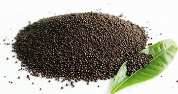 科技賦能農業 肥料技術支持的創新與發展